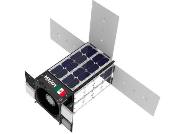 microsatelite-mxao-1
